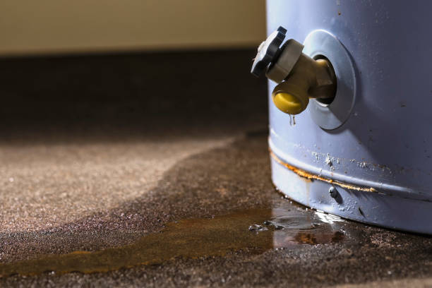 Best Professional water damage repair  in Oliver Springs, TN