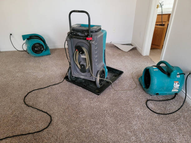  Oliver Springs, TN Water damage restoration Pros