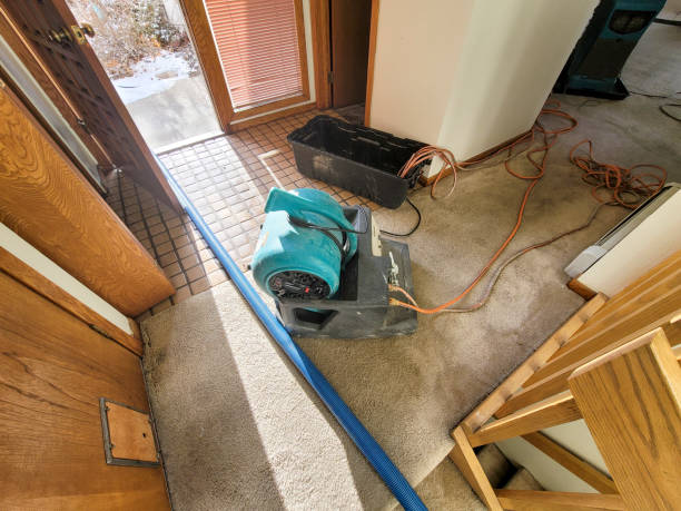 Best Local water damage restoration  in Oliver Springs, TN