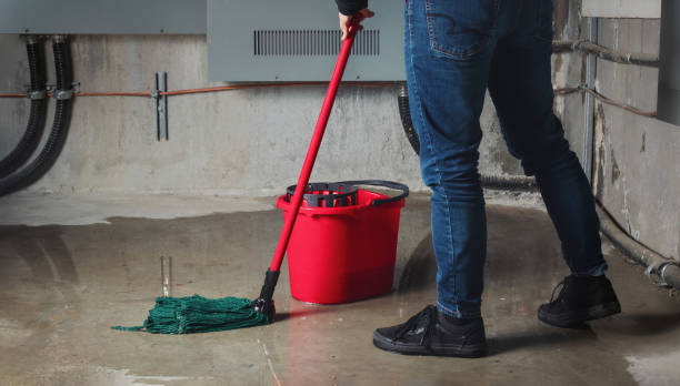 Best Flood restoration services  in Oliver Springs, TN